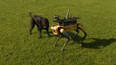 Pes Spot od Boston Dynamics