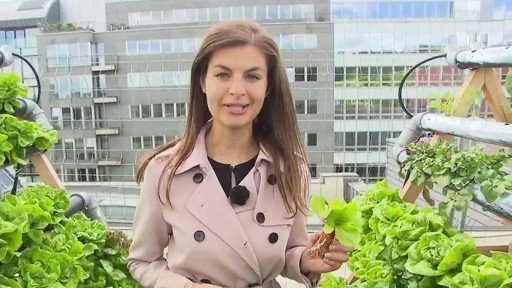 Hydroponická farma na střeše obchodního centra