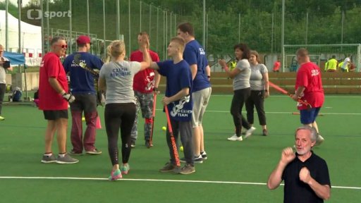 Parapozemní ráček