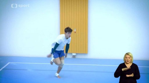 Česká sportovní gymnastika