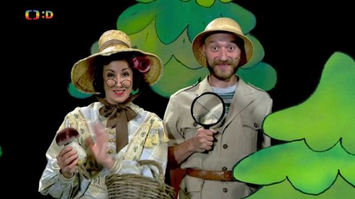 Pipeta a Polapil na houbách.