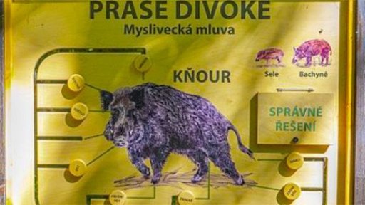 Naučná stezka Borky