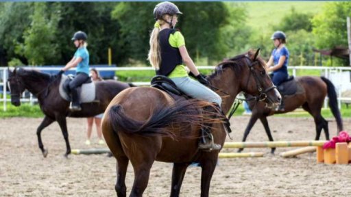 Adrenalinový a snad i pohodový den pro (pra)rodiče s dětmi