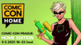 ComicCon: Home Edition
