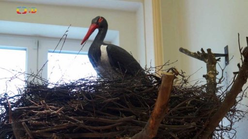 Enviromentální centrum Železná ruda