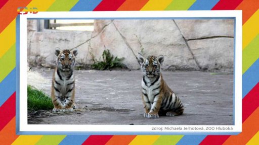 Den zvířat v Zoo Hluboká