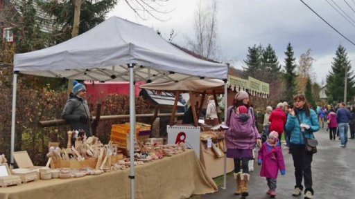 Vánoční jarmark pro dobrou věc