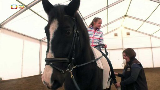 Volný čas: Voltiž