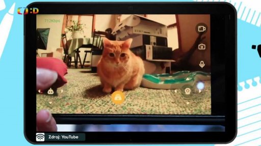 Zajímavost: Existují už i roboti pro domácí mazlíčky