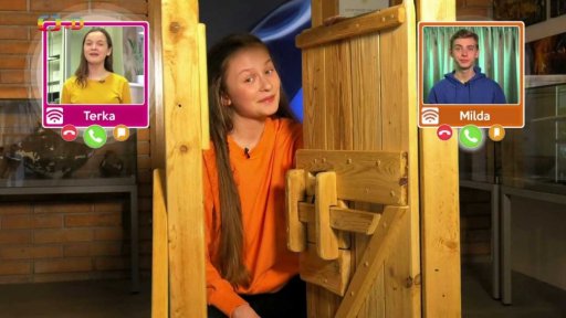 Společnost: Keltové