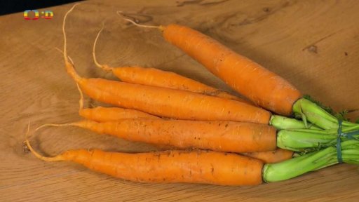 Příroda: Vitamíny