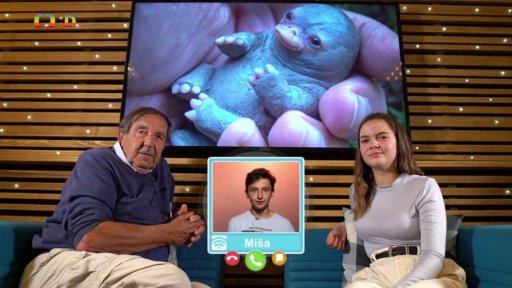 Příroda: Ptakopysk