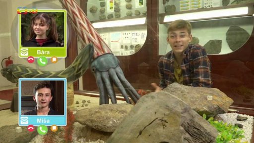 Příroda: Chobotnice