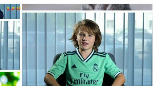 Anketa: Jakým zvířetem bys chtěl/a v příštím životě být?