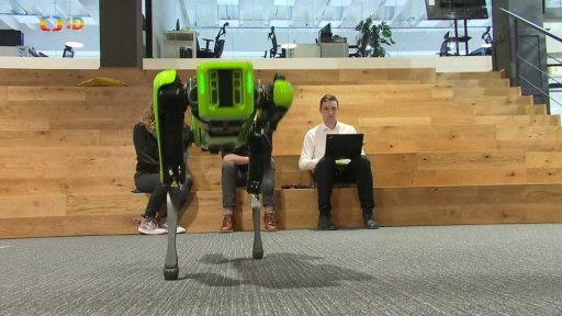 Reportáž: Robopes Spot