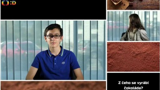 Anketa: Z čeho se vyrábí čokoláda