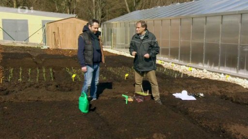 Sázení a rady na duben