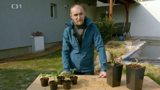 Hnojivo pro celou zahradu