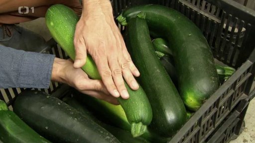 Skladování ovoce a zeleniny