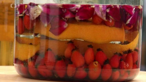 Jak chutná pálenka