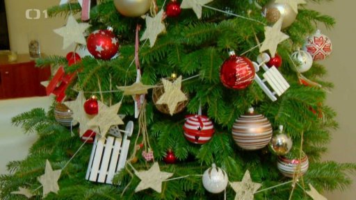 Stromeček v nádobě