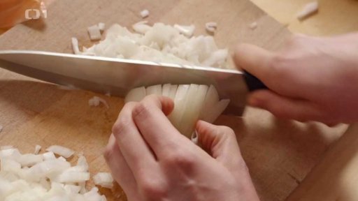 Univerzální cibule