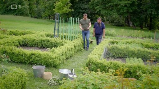 Babiččina zahrádka