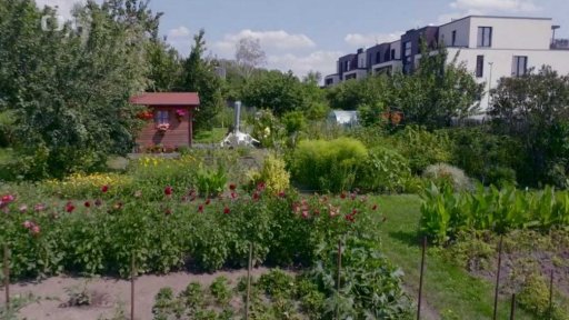 Zahrádkářská kolonie