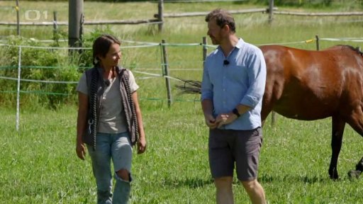 Když já jim dám ovsa