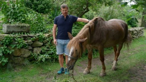 Koně ve středověku