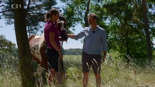 Když já jim dám obroku