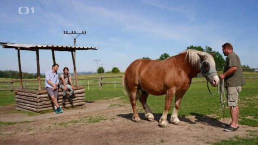 Kaštanův příběh