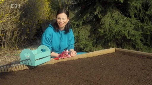 Polykulturní pěstování rostlin