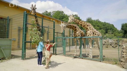 Zoologická zahrada Plzeň