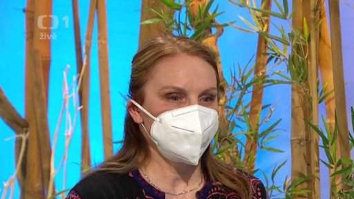 Pylová alergie - 1. část