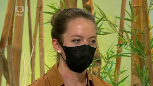 Babyrady - první krůčky