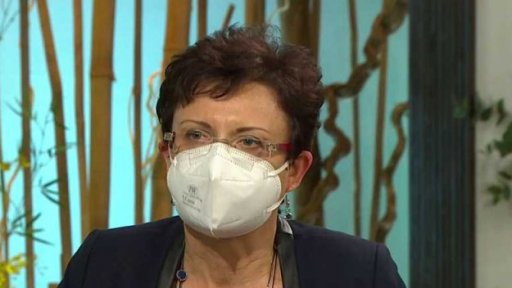 Mezinárodní den muzeí