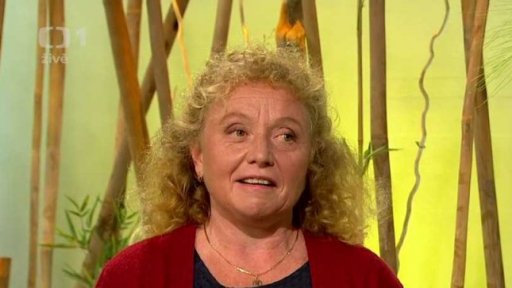 Koně jako koníček - jezdecký oddíl pro děti