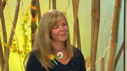 Regenerace těla a po sportu