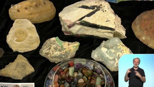 Zkameněliny a fosilie