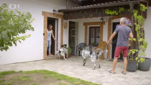 Konfliktní Sheila s Maggie: v čem je problém?