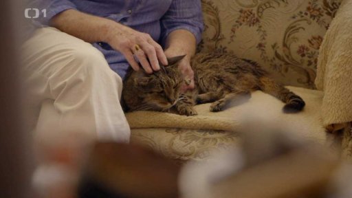 Návrat za Macíkem: v čem je problém?