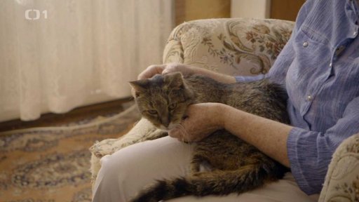 Návrat za Macíkem: seznámení s koučem