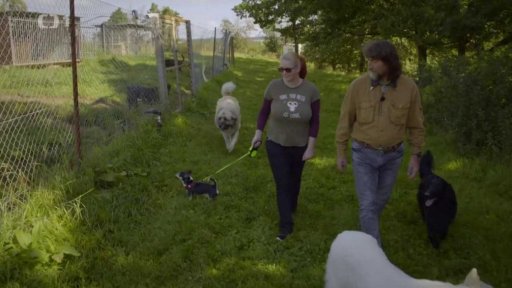 Uštěkaný Čert: seznámení s koučem