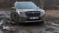 Modernizovaný Subaru Forester: zrozen pro terén