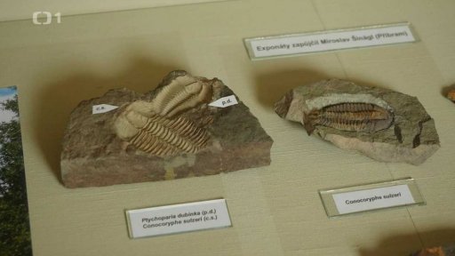 Po stopách Trilobita ve Skryjích