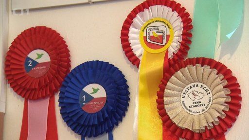 Chov exotických ptáků