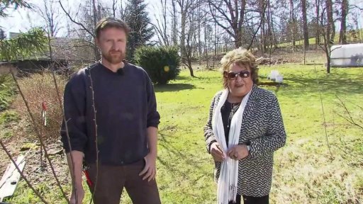 Péče o ovocné stromy