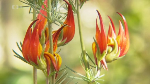 Návštěva botanické zahrady