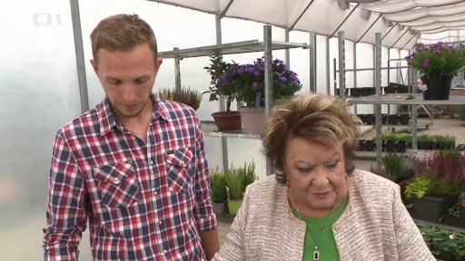 Rostliny kvetoucí na podzim